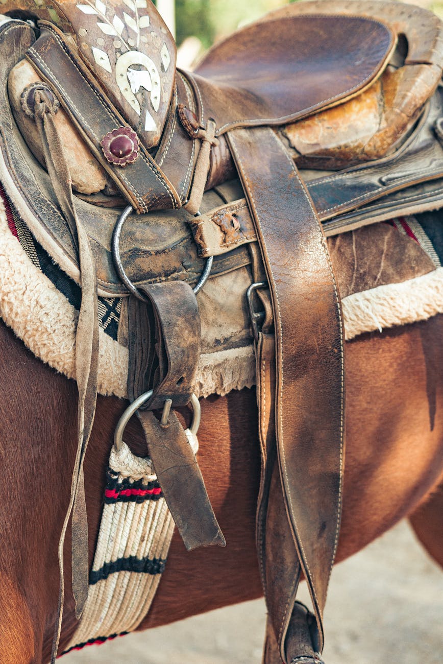 photograph of a saddle on a brown horse